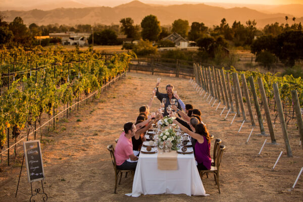 People sitting at a table in a vineyard