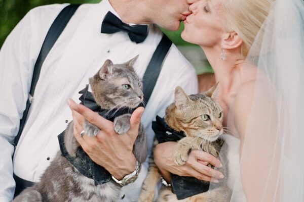 two people kissing and holding cats