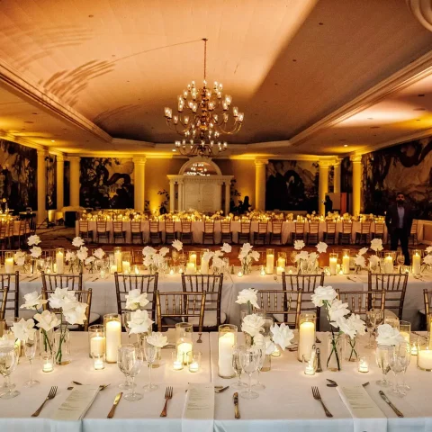 gallery cultural 20260411 183006 carlelixirstudio 2