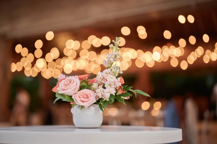 gallery designs dsc08240